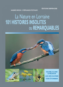 Montier Photo Festival
