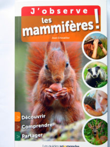 Montier Photo Festival