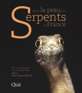 Montier Photo Festival