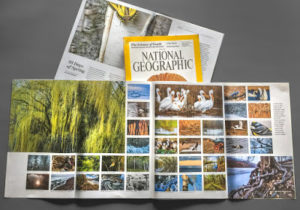 Montier Photo Festival