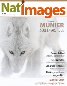 Montier Photo Festival