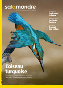 Montier Photo Festival