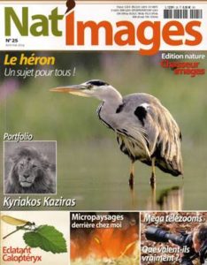 Montier Photo Festival
