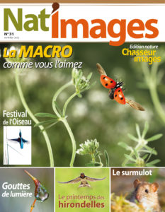Montier Photo Festival