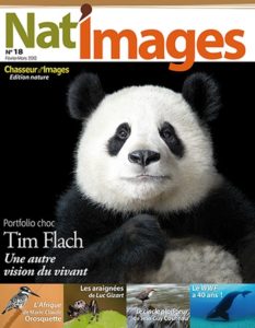 Montier Photo Festival