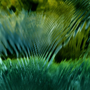 Montier Photo Festival