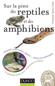 Montier Photo Festival