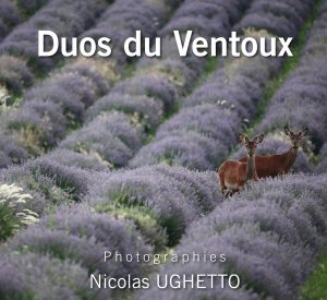 Montier Photo Festival