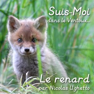 Montier Photo Festival
