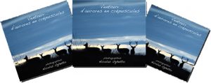 Montier Photo Festival