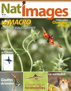 Montier Photo Festival
