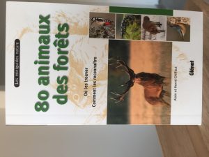 Montier Photo Festival