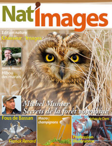 Montier Photo Festival