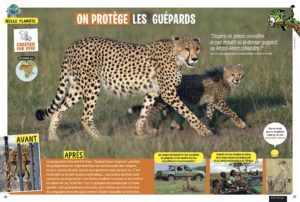 Montier Photo Festival