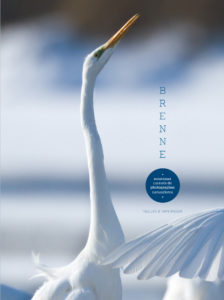 Montier Photo Festival