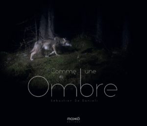 Comme une ombre
